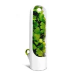 Herb-Preservative-Container-3.webp