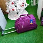 WhatsApp-Image-2024-11-18-at-08.31.55-1.webp