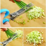WhatsApp-Image-2024-11-21-at-10.13.01.webp