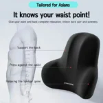 Car Headrest & Lumbar Support