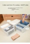 Wardrobe Storage Organizers