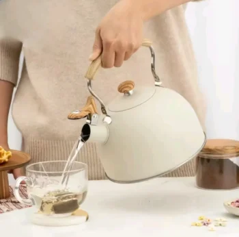 Gas stove kettle