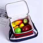 premium-Insulated-lunch-bags.webp